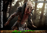 HOT TOYS 1/6 TMS114 FERAL PREDATOR