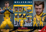 FIRST BATCH - HOT TOYS 16 MMS754 X-MEN DEADOOL AND WOLVERINE - DELUXE VERSION set