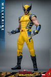 MAIN BATCH - HOT TOYS 1/6 MMS753 X-MEN DEADPOOL AND WOLVERINE - REGULAR VERSION