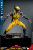 MAIN BATCH - HOT TOYS 1/6 MMS753 X-MEN DEADPOOL AND WOLVERINE - REGULAR VERSION