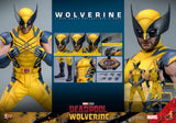 MAIN BATCH - HOT TOYS 1/6 MMS753 X-MEN DEADPOOL AND WOLVERINE - REGULAR VERSION