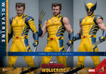 FIRST BATCH - HOT TOYS 16 MMS754 X-MEN DEADOOL AND WOLVERINE 