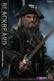 TGTOYS x SWTOYS 1/6 TG8015 BLACKBEARD