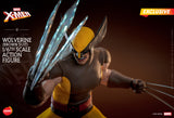 HONO STUDIO 1/6 WOLVERINE BROWN SUIT X-Men HS03