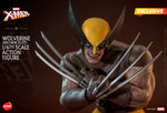 HONO STUDIO 1/6 WOLVERINE BROWN SUIT X-Men HS03