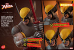 HONO STUDIO 1/6 WOLVERINE BROWN SUIT X-Men HS03