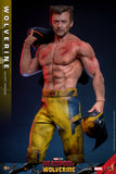 MAIN BATCH - HOT TOYS 1/6 MMS756 WOLVERINE JACKET VERSION