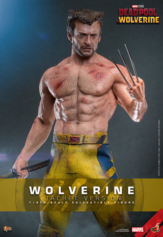 MAIN BATCH - HOT TOYS 1/6 MMS756 WOLVERINE JACKET VERSION