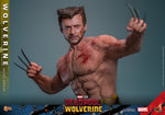 MAIN BATCH - HOT TOYS 1/6 MMS756 WOLVERINE JACKET VERSION