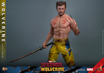 FIRST BATCH - HOT TOYS 1/6 MMS756 WOLVERINE JACKET VERSION