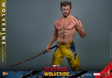 MAIN BATCH - HOT TOYS 1/6 MMS756 WOLVERINE JACKET VERSION