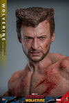 MAIN BATCH - HOT TOYS 1/6 MMS756 WOLVERINE JACKET VERSION