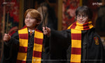 JND 1/6 HARRY/HERMIONE/RON TRIO TYPE-C