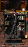 JND 1/6 HARRY/HERMIONE/RON TRIO TYPE-C