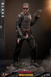 HOT TOYS 1/6 MMS791 BLADE