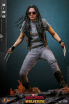 HOT TOYS 1/6 MMS781 DEADPOOL & WOLVERINE X23