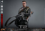 MAIN BATCH - HOT TOYS 1/6 MMS795 T-800 (2.0) JUDGEMENT DAY