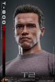 MAIN BATCH - HOT TOYS 1/6 MMS795 T-800 (2.0) JUDGEMENT DAY