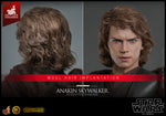 HOT TOYS 1/6 DX34AE ARTISAN ANAKIN