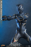 HOT TOYS 1/6 MMS675 WAKANDA FOREVER BLACK PANTHER