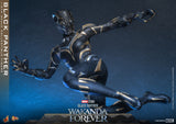 HOT TOYS 1/6 MMS675 WAKANDA FOREVER BLACK PANTHER