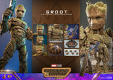 HOT TOYS 1/6 MMS706 GROOT REGULAR