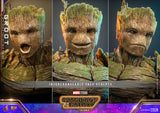 HOT TOYS 1/6 MMS706 GROOT REGULAR