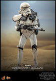 HOT TOYS 1/6 MMS721 SANDTROOPER SERGEANT