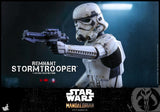 HOT TOYS 1/6 TMS011 REMNANT STORMTROOPER