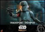 HOT TOYS 1/6 TMS030 TRANSPORT TROOPER