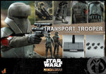 HOT TOYS 1/6 TMS030 TRANSPORT TROOPER