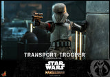 HOT TOYS 1/6 TMS030 TRANSPORT TROOPER