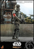 HOT TOYS 1/6 TMS030 TRANSPORT TROOPER