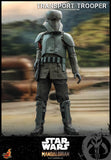 HOT TOYS 1/6 TMS030 TRANSPORT TROOPER