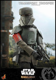 HOT TOYS 1/6 TMS030 TRANSPORT TROOPER