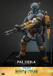 HOT TOYS 1/6 TMS097 PAZ VIZSLA